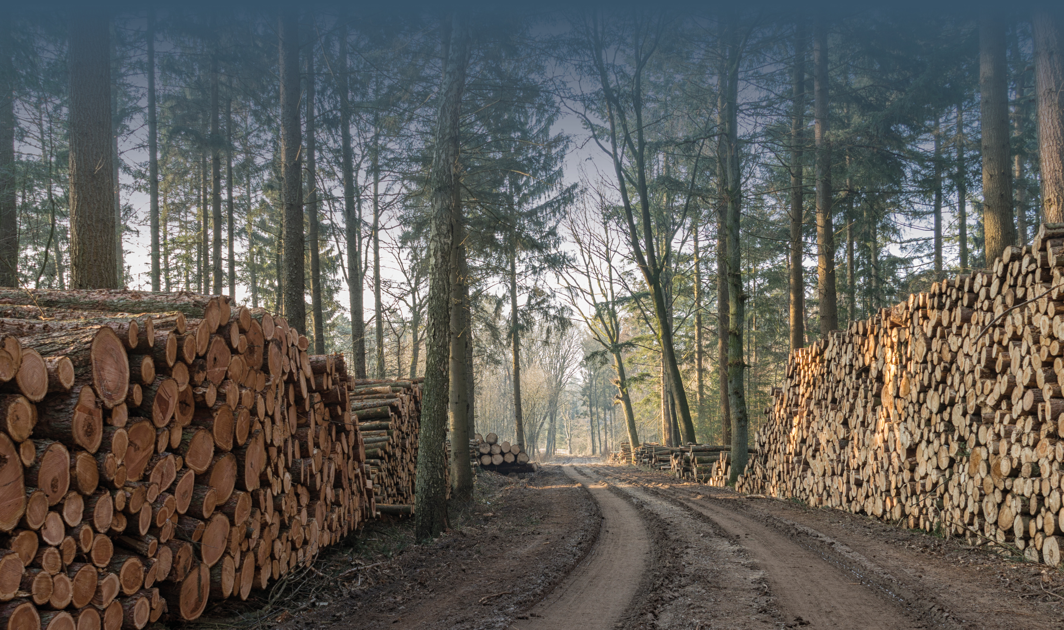 VCØB Community bliver nu medlemsfinansieret – vil I være med til at drive udviklingen?