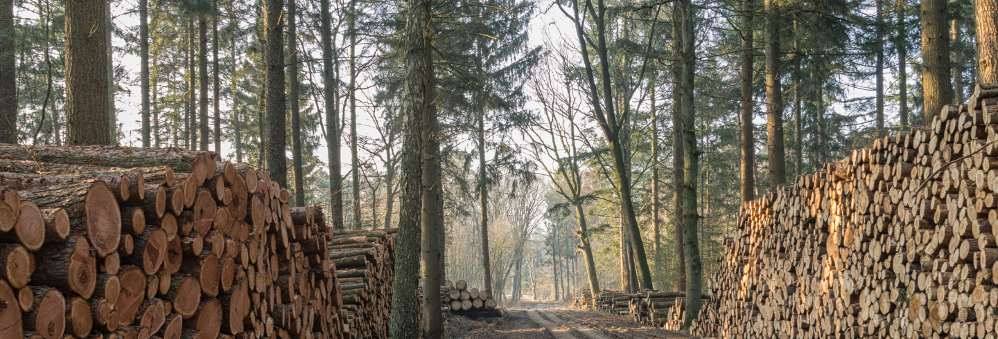 Kom i gang med cirkulær byggevareproduktion