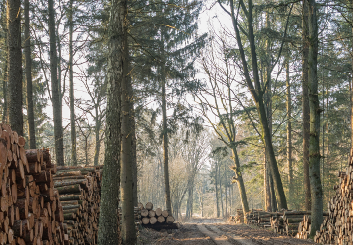 Velkommen til VCØB Community